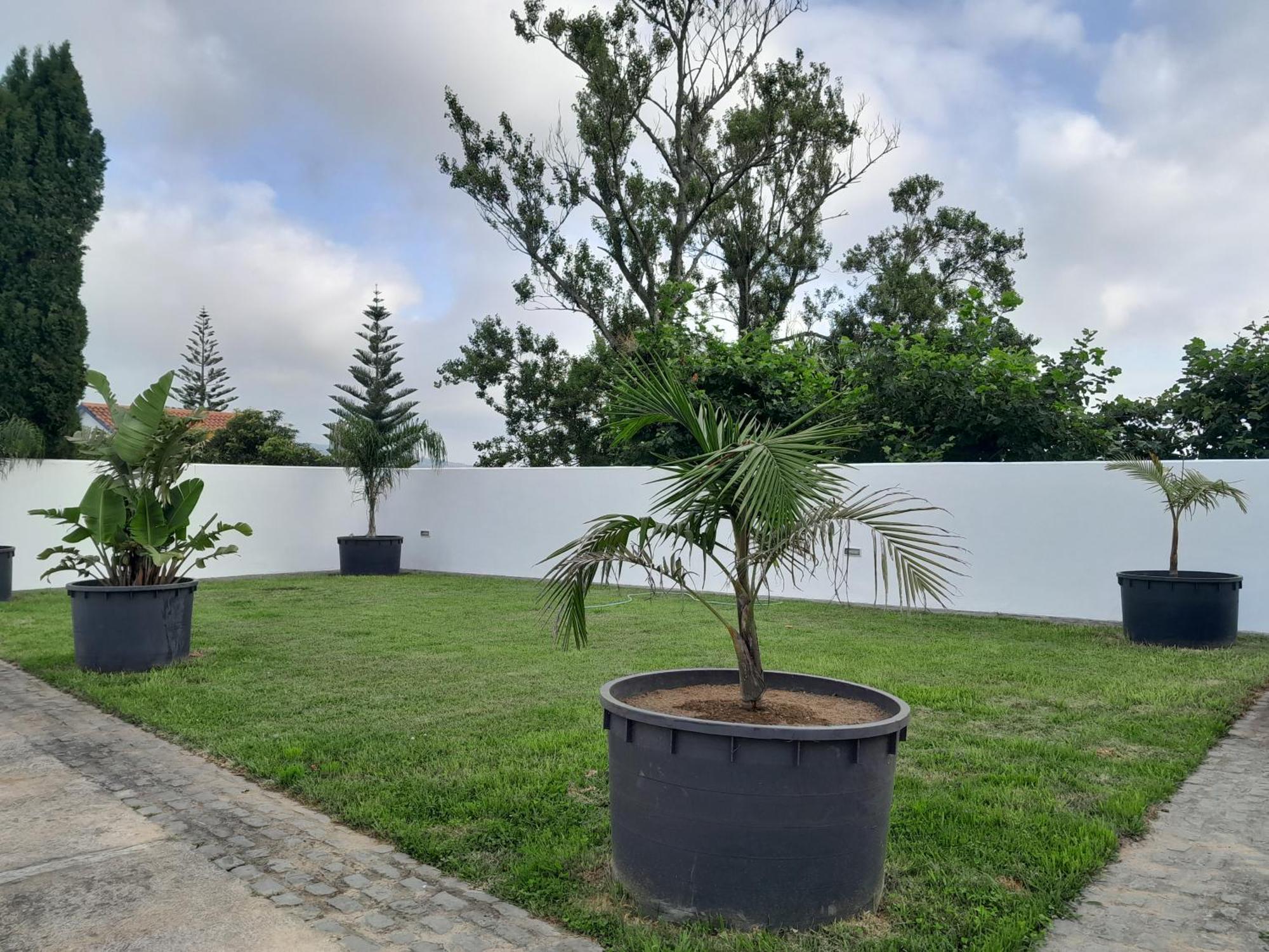 Espaco Roteiro De Mimos São Vicente Ferreira Exterior foto